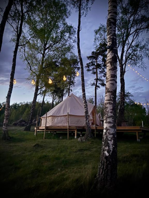 Příroda nedaleko luxury tent