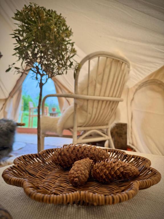 Fotografie z fotogalerie ubytování Glamping med alpackor v destinaci Laholm