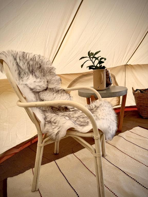 Fotografie z fotogalerie ubytování Glamping med alpackor v destinaci Laholm