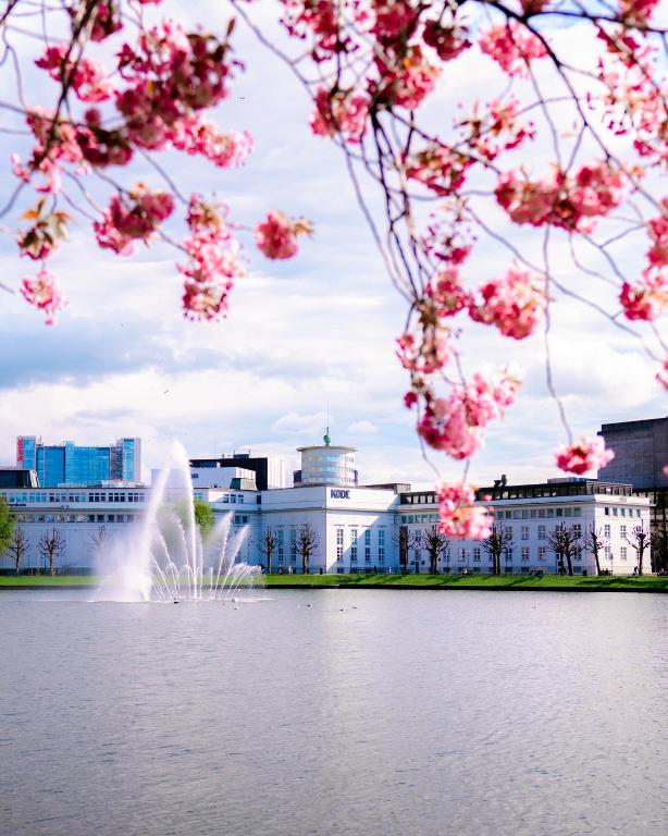 a fountain in the water in front of a building with pink flowers at Hotel No13 in Bergen