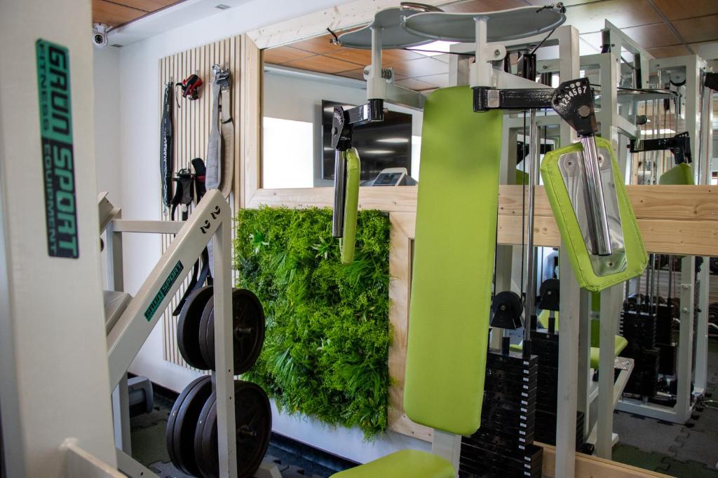 Fitness centrum a/nebo fitness zařízení v ubytování Kokořín Apartments