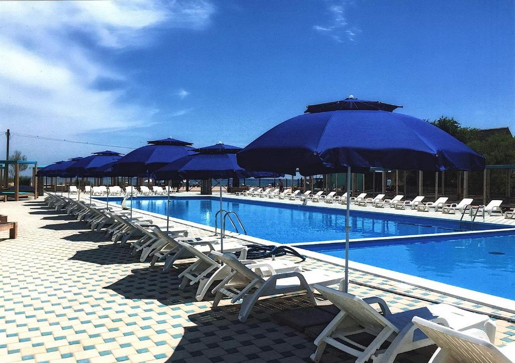 a row of chairs and umbrellas next to a swimming pool at Микрон in Zatoka
