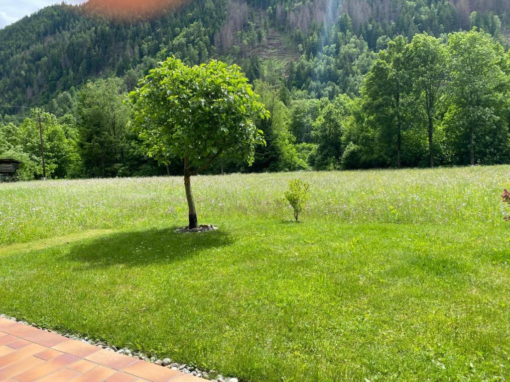 Táj az apartman közelében
