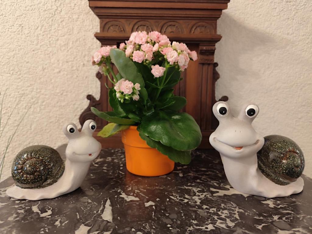 Fotografie z fotogalerie ubytování Privatzimmer Pendl v Abtenau