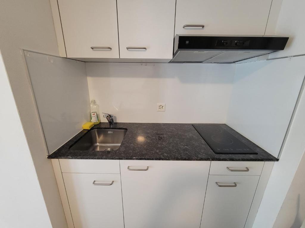 City Center Zurich Downtown Apartments next to Zurich HB Main Train Station NEU - Self Checkin - Resim 17