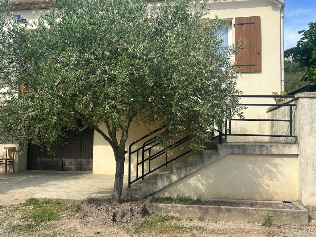 un arbre sur le côté d'une maison avec des escaliers dans l'établissement La Maison Des Oliviers, à Saint-Hilaire