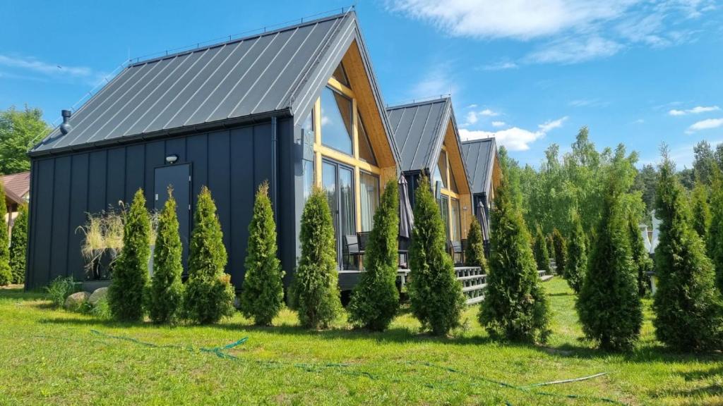 a black house with a row of trees at Jodłowe Zacisze in Lubkowo