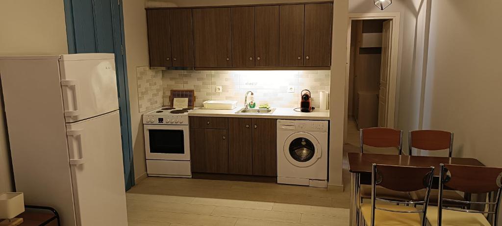 a kitchen with a refrigerator and a washing machine at Andros Guesthouses in Andros