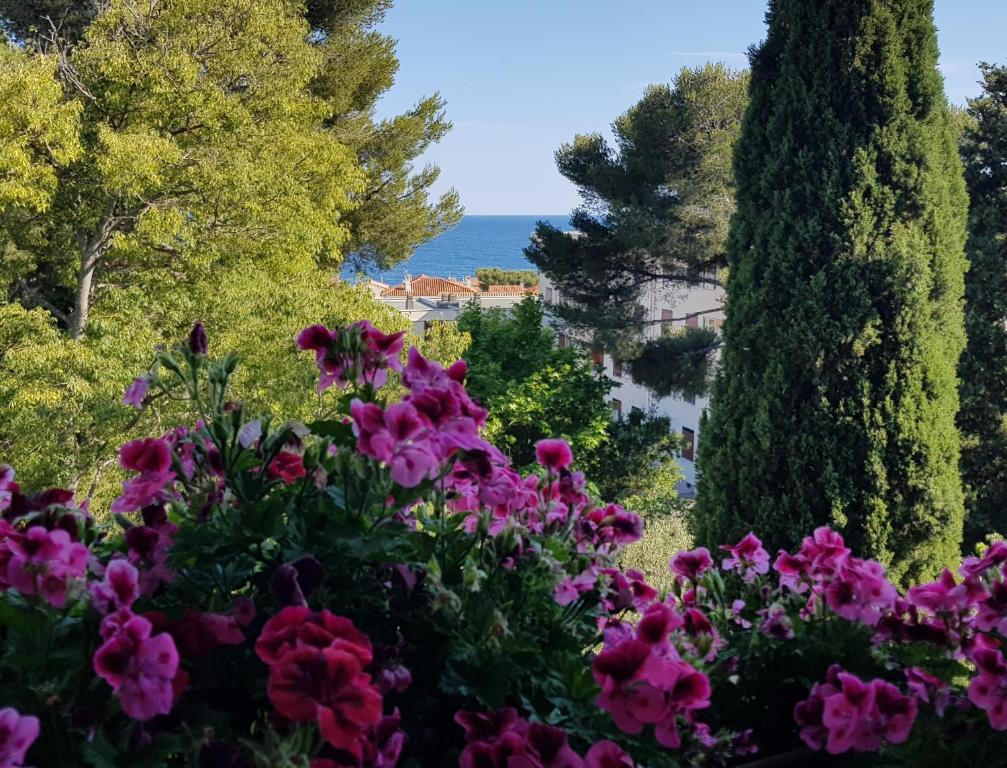 Φυσικό τοπίο κοντά σε αυτό το διαμέρισμα