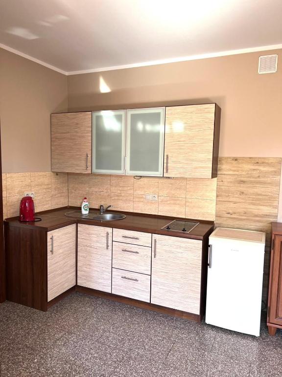 Kuchyňa alebo kuchynka v ubytovaní Apartamenty Amber Wyspa
