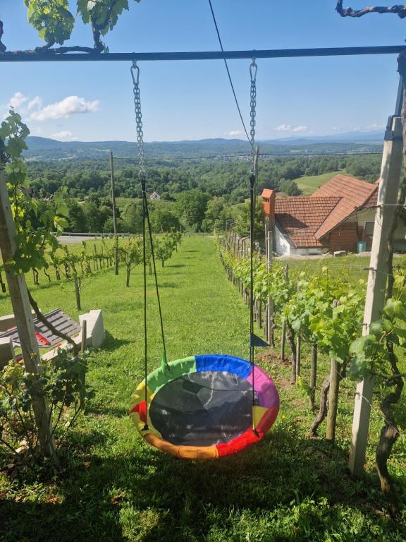 Příroda nedaleko prázdninového domu