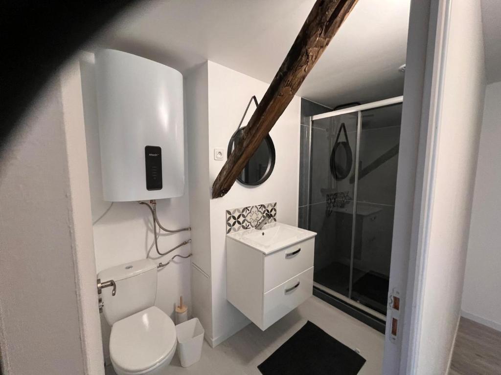 Un baño blanco con inodoro y ducha. en Studio B lumineux refait à neuf cœur historique de Troyes, en Troyes