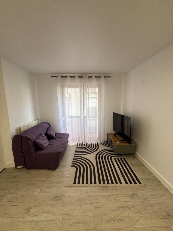 un salon avec un canapé et une télévision dans l'établissement Appartement cosy à Cherbourg!, à Cherbourg en Cotentin