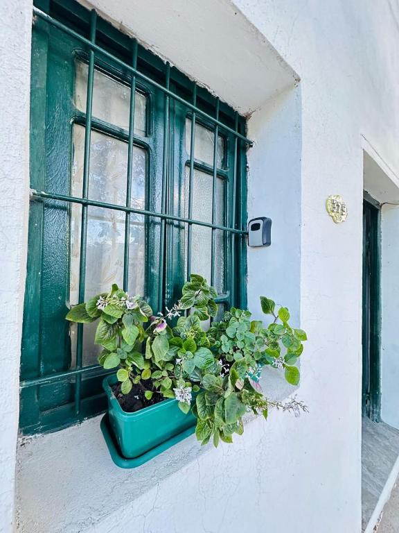 a window with a green shutter and a potted plant at Manuel Apart in Esquina