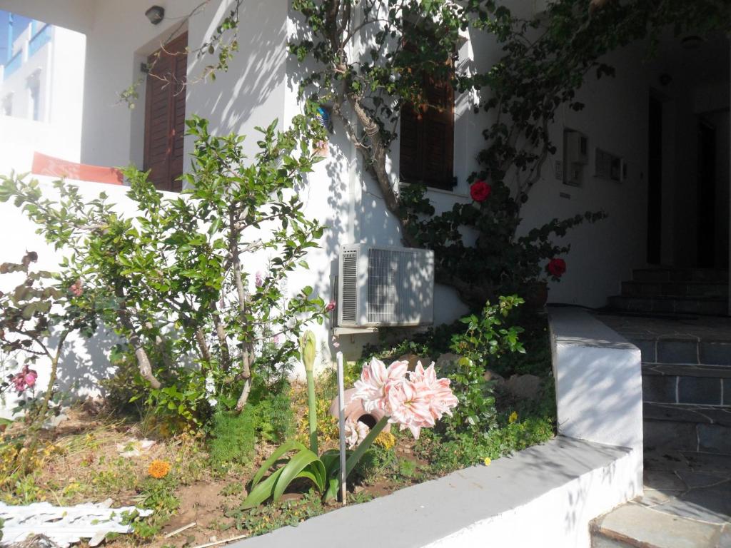 Zahrada ubytování Froudi Rooms
