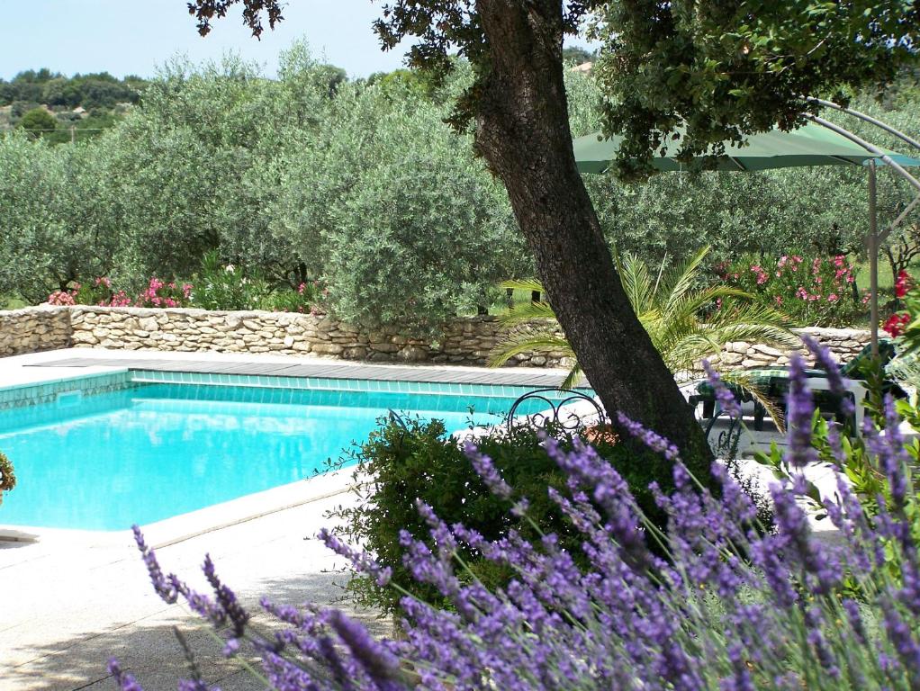 Le Verger في جورد: حمام سباحة في حديقة بها زهور أرجوانية
