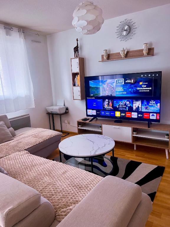 un salon avec une grande télévision à écran plat dans l'établissement Havre de paix 2-3 pièces, à Strasbourg