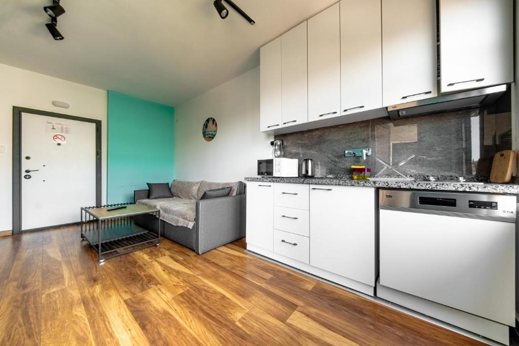 Kuchyň nebo kuchyňský kout v ubytování PASHAM RESIDENCE