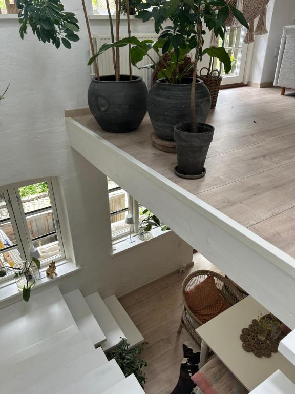 Fotografie z fotogalerie ubytování Vidunderligt hus med gårdhave - midt i centrum v destinaci Aalborg