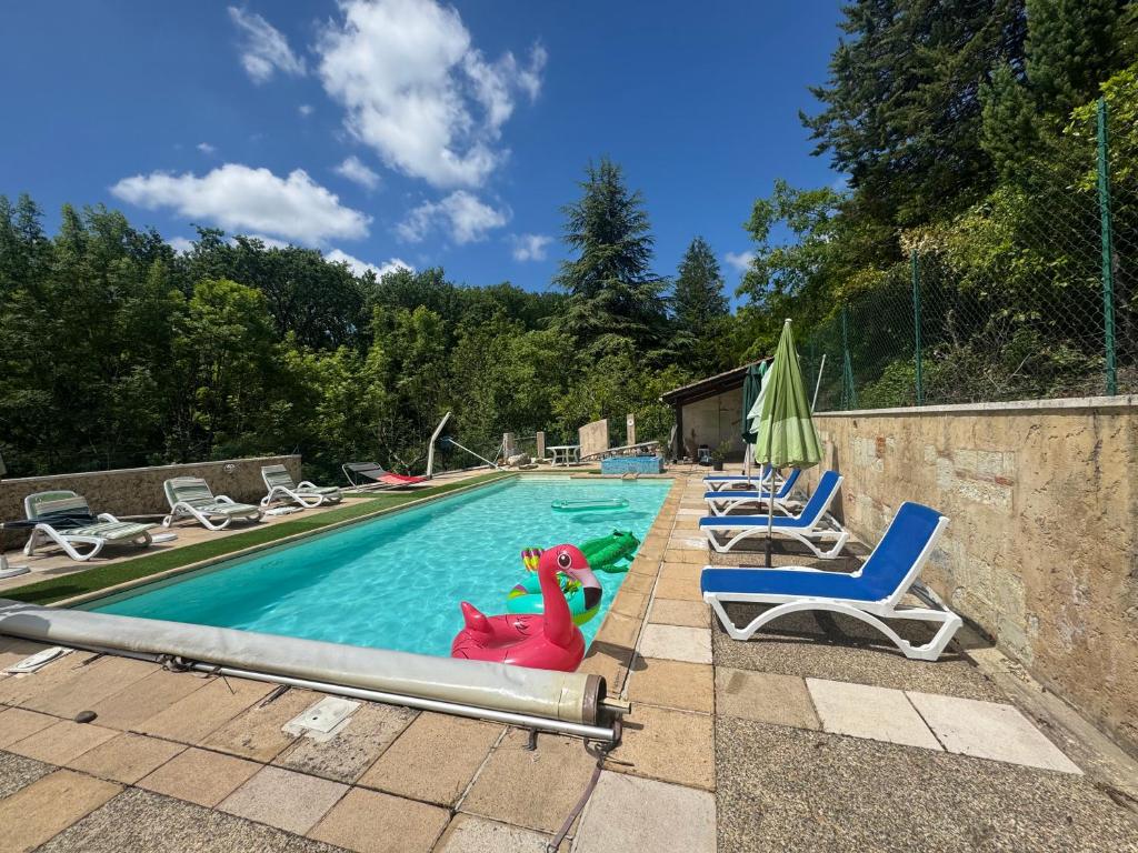 a swimming pool with chairs and alatable dinosaur in the water at Lacoume Saint Jacques in Auch