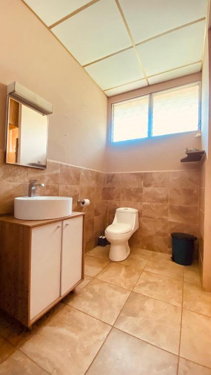 Mountain View Hostel photo