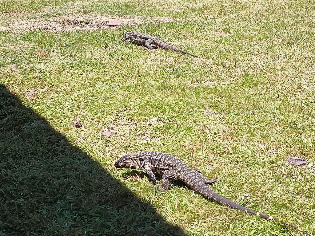 Runa, Marcos de los Reyes villa serrana