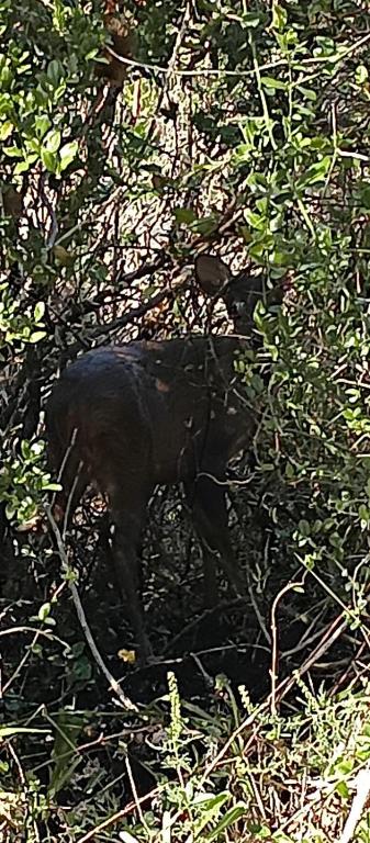 Runa, Marcos de los Reyes villa serrana