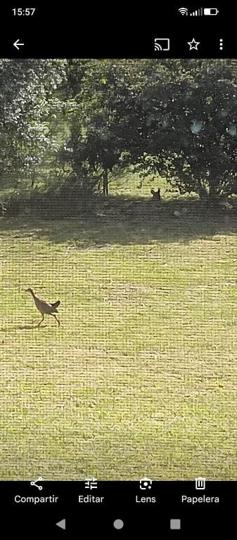 Runa, Marcos de los Reyes villa serrana