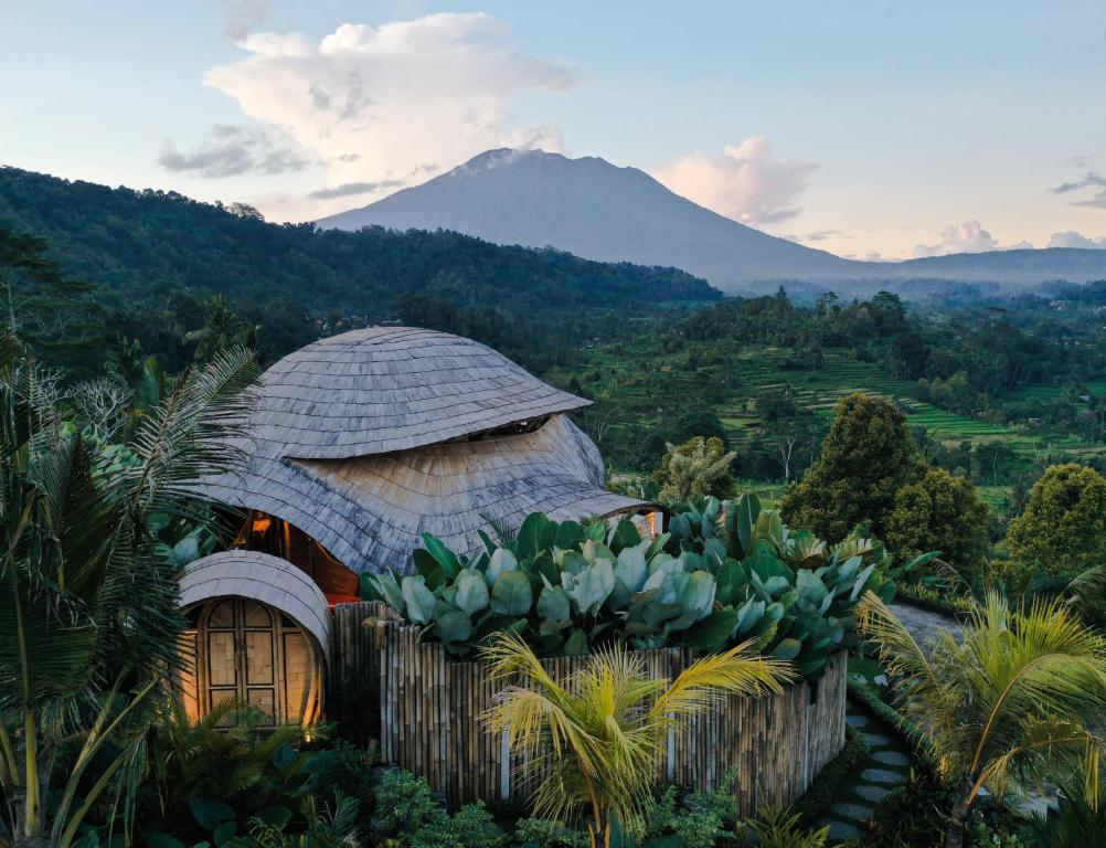 Природа в окрестностях виллы