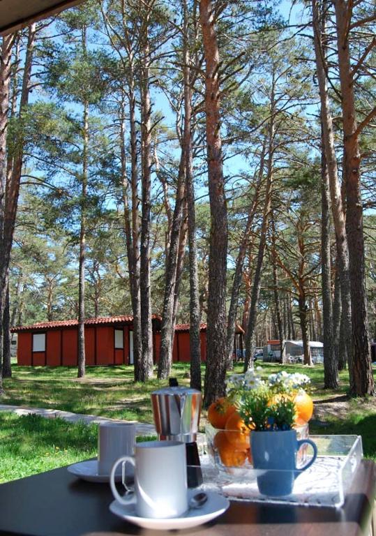 Zahrada ubytování Camping Urbion