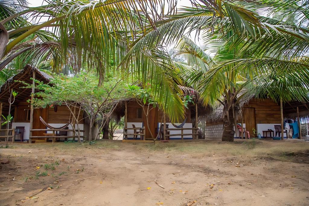 Fotografie z fotogalerie ubytování Sand Dune Beach Resort & Surf Camp v destinaci Arugam Bay