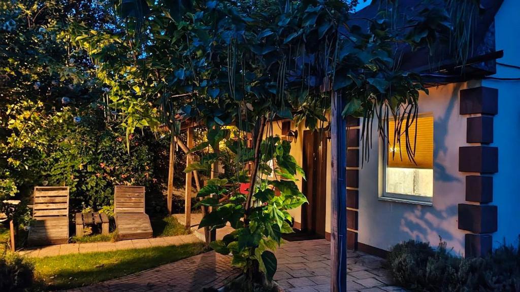 Zahrada ubytování Villa del Grossa Будинок з каміном та чаном на дровах