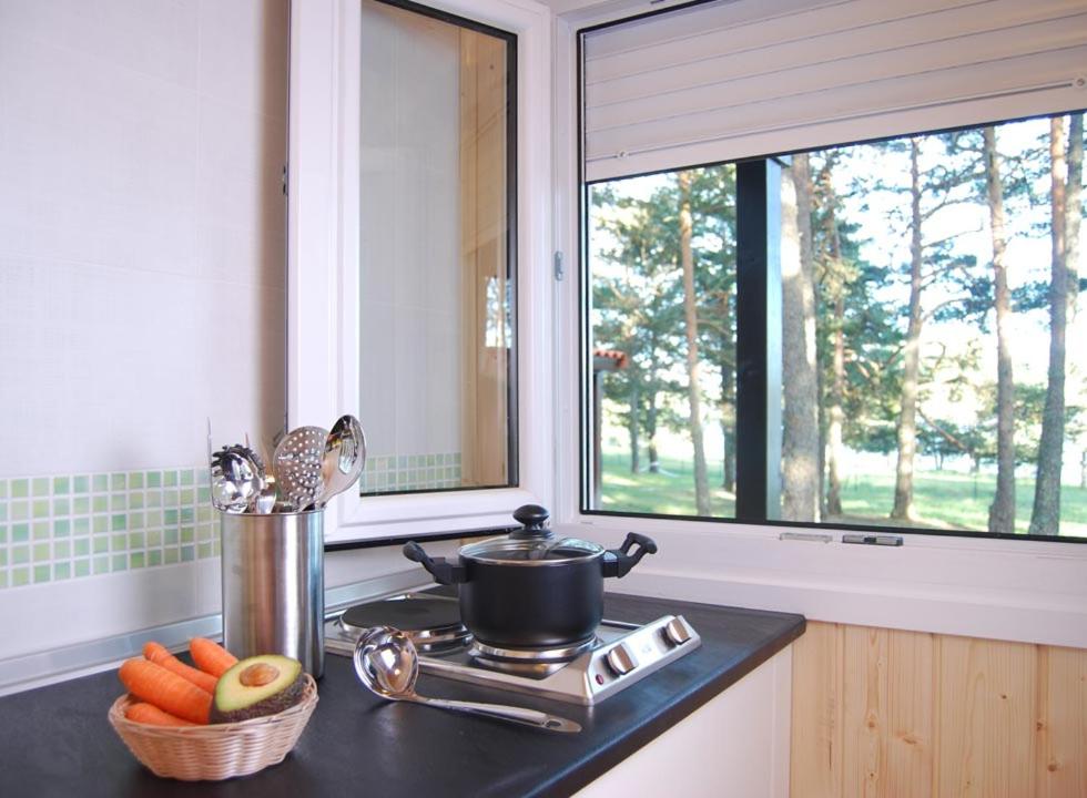 Kuchyň nebo kuchyňský kout v ubytování Camping Urbion