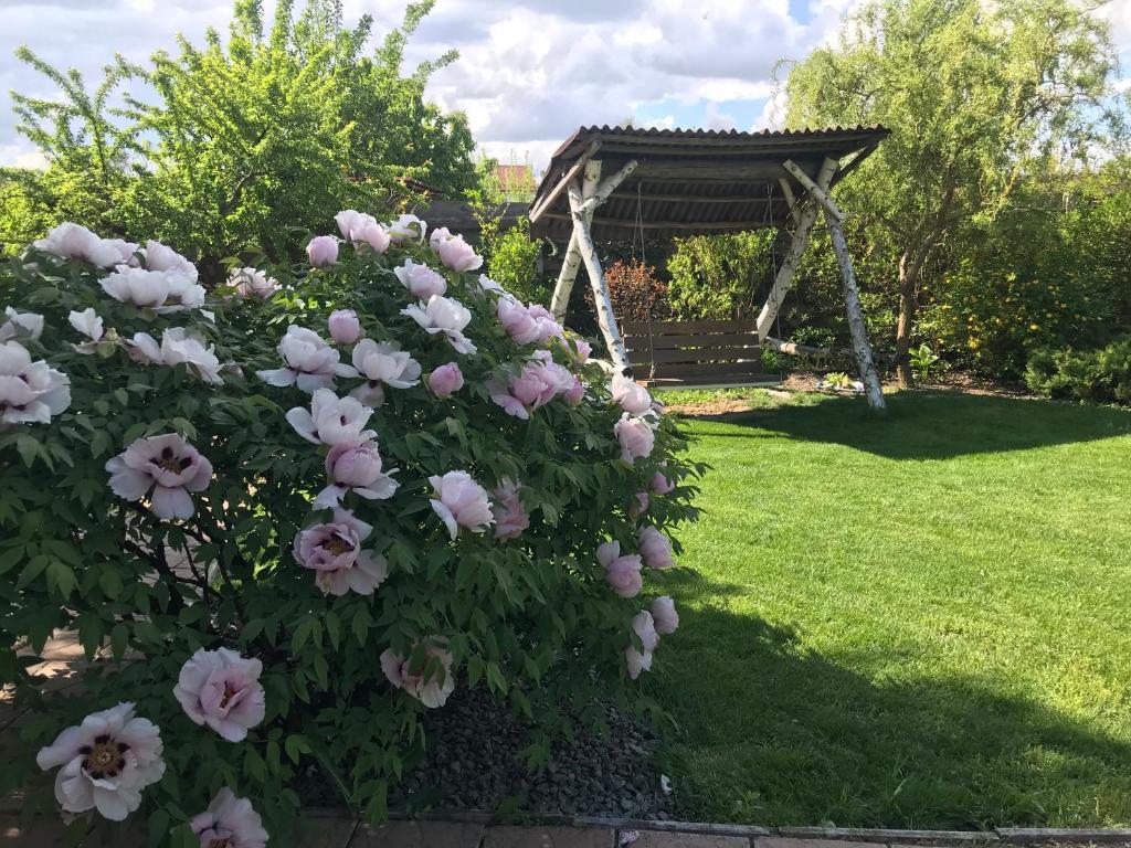 Zahrada ubytování Villa del Grossa Будинок з каміном та чаном на дровах