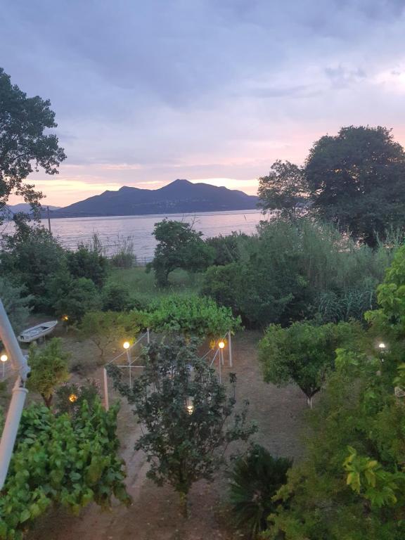 a view of a garden with a view of the water at Lou Apartments & Hostel in Edipsos