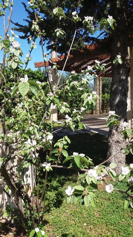 A garden outside Agriturismo Monte degli Angeli