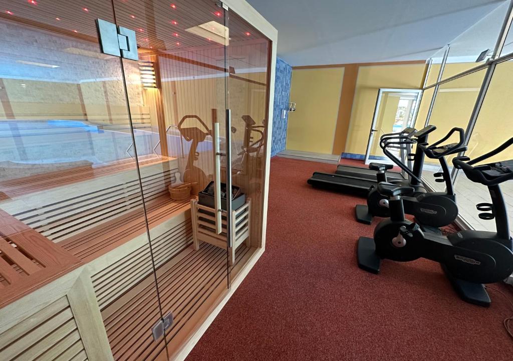 Fitness centrum a/nebo fitness zařízení v ubytování Drago Suites