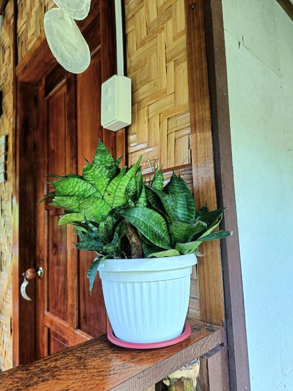 Fotografie z fotogalerie ubytování A. Zaragosa Lodging House v destinaci San Vicente