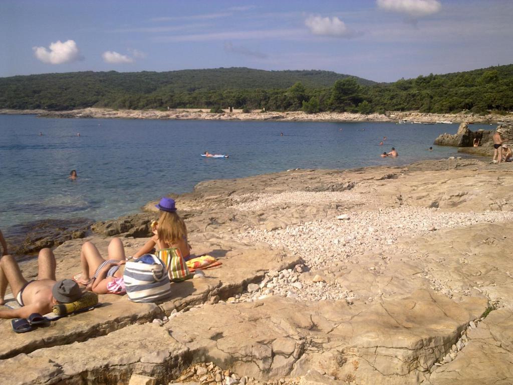 Zdjęcie z galerii obiektu Holiday home Istra w mieście Pavicini