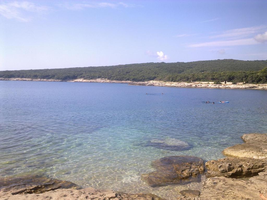 Zdjęcie z galerii obiektu Holiday home Istra w mieście Pavicini