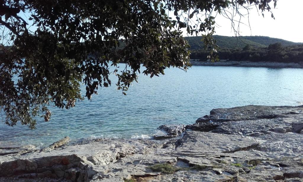 Zdjęcie z galerii obiektu Holiday home Istra w mieście Pavicini