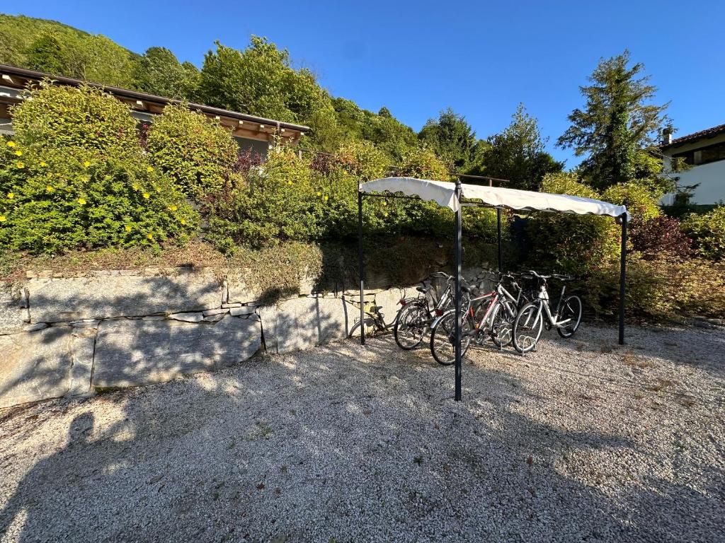 Fotografie z fotogalerie ubytování Residence Belvedere & Private Beach v destinaci Omegna
