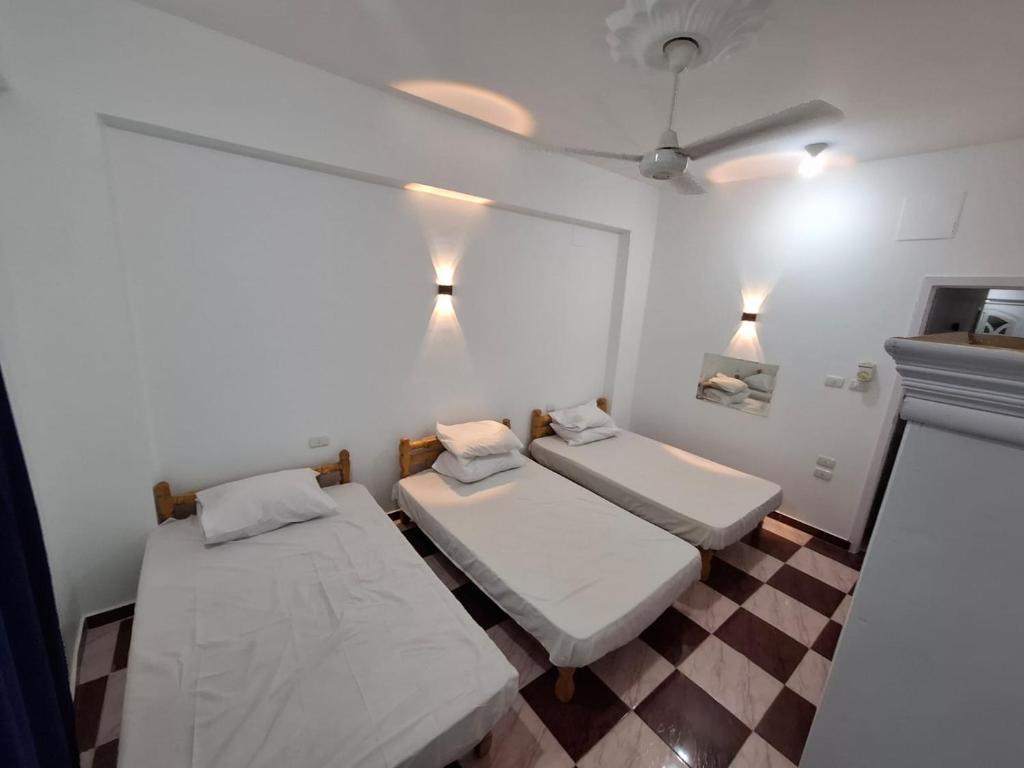 Fotografie z fotogalerie ubytování Djorff Guest House v destinaci Luxor