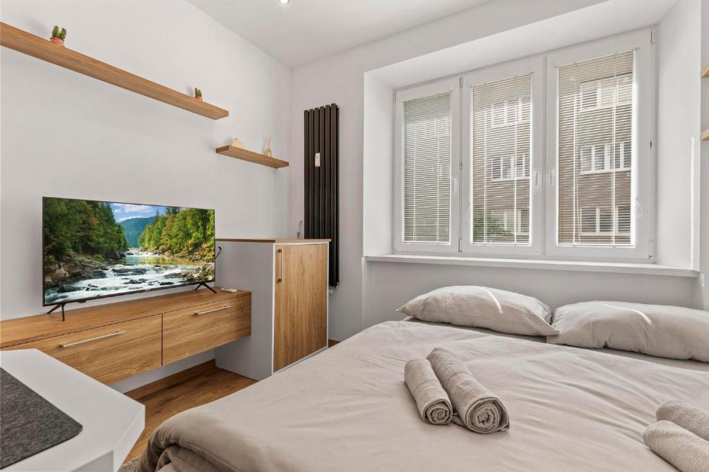 布拉迪斯拉发AH Belehradská的一间卧室配有一张带两个枕头的床和电视。