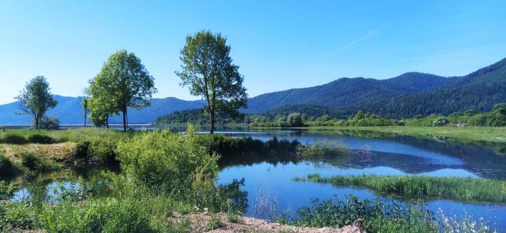 Příroda nedaleko apartmánu