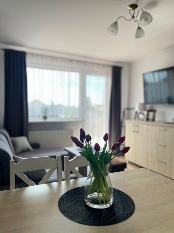 Apartament "u Mamy" Władysławowo - 7