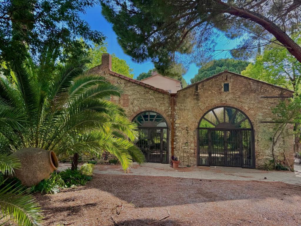 an old stone house with a palm tree at Domaine de la Fauvelle in Thuir