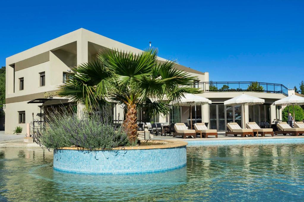 Bazén v ubytování Ohana Hotel nebo v jeho okolí