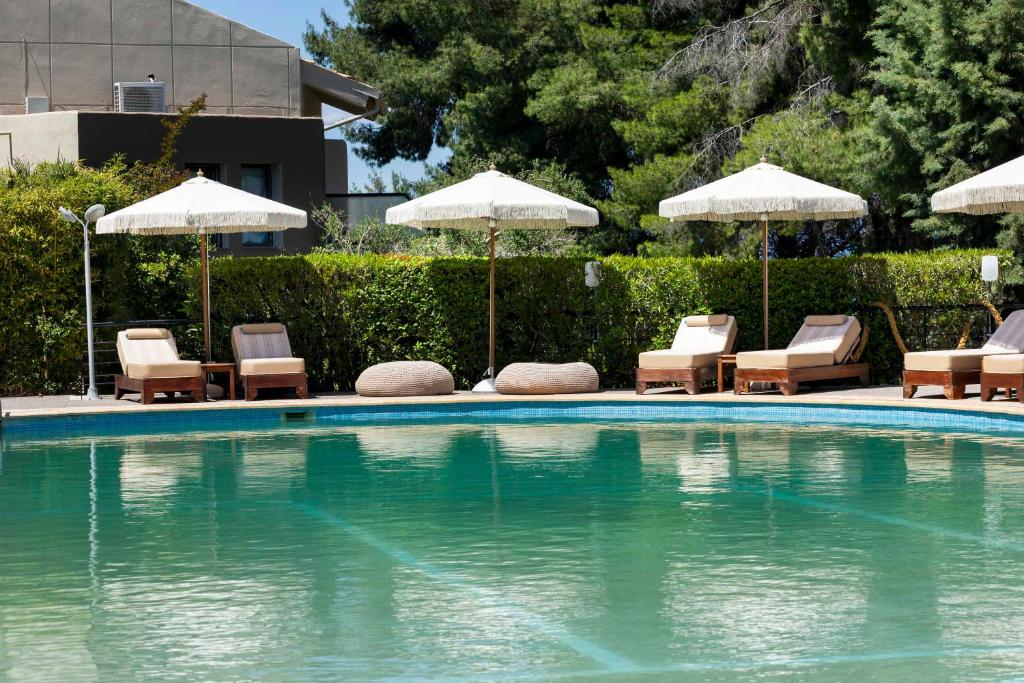 Bazén v ubytování Ohana Hotel nebo v jeho okolí