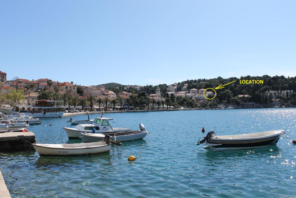 un grupo de barcos estacionados en el agua en Apartments Mala, en Cavtat